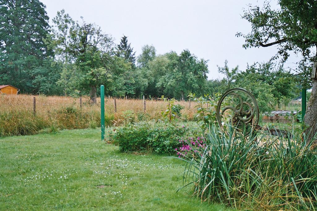 Bed and Breakfast Au Grand Pré à Theillay Extérieur photo
